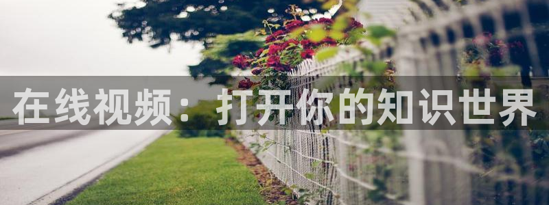 泡泡酒店：在線視頻：打開你的知識世界